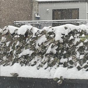 Meet your Posher, Ronald